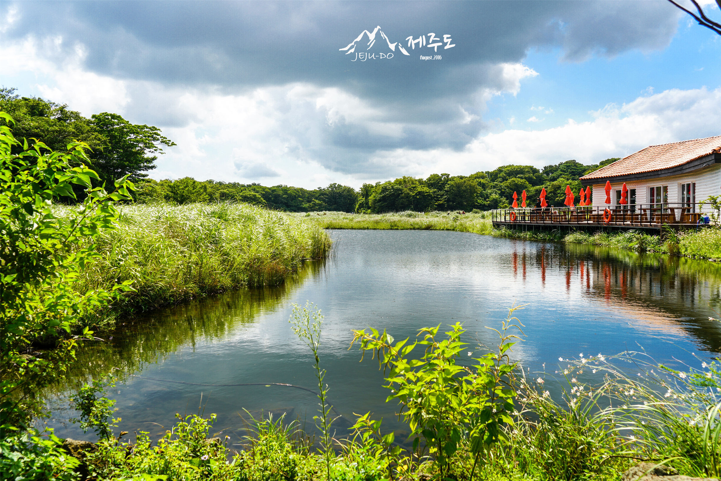 济州岛雨天旅行攻略视频,冬季济州岛亲子游详细攻略