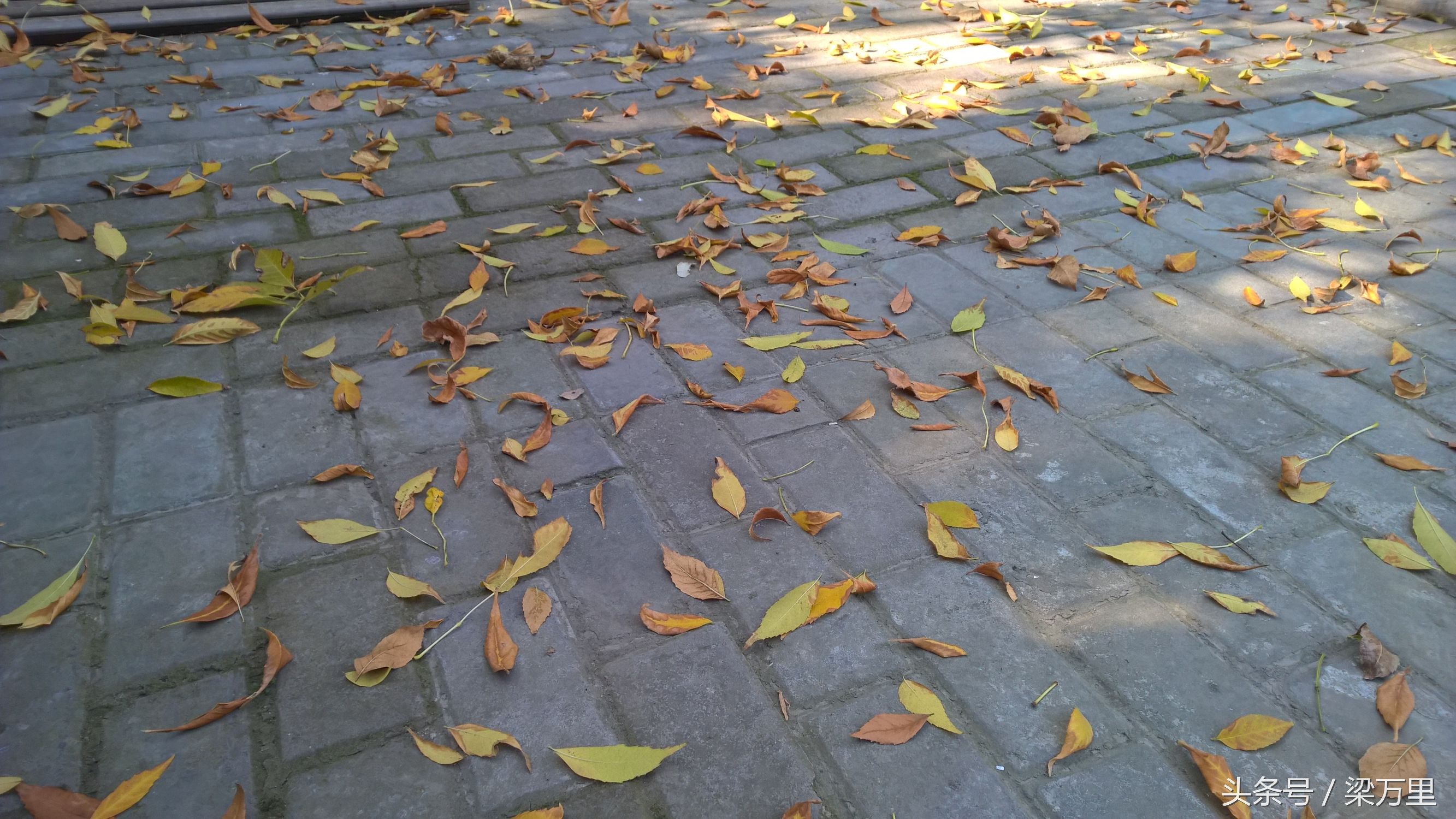 诺基亚lumia930测评,诺基亚lumia1020和930拍照对比