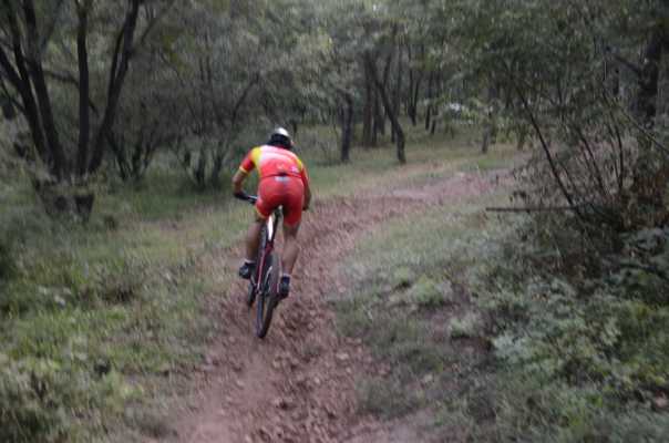 好骑的入门山地自行车测评,野兽自行车测评speedx