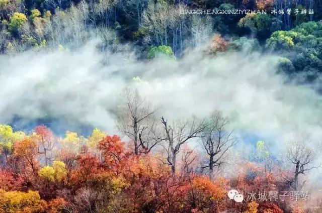 逊克半砬山，不是景区的亮丽风景！