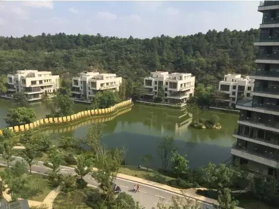 南京豪宅夷为平地,南京豪宅别墅有哪些