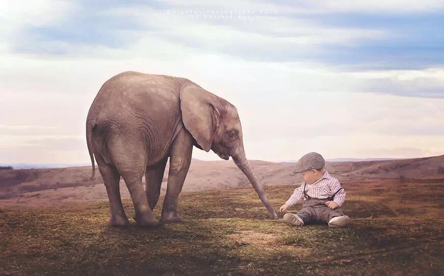 宝宝写真照风格种类大全,婴儿个性写真