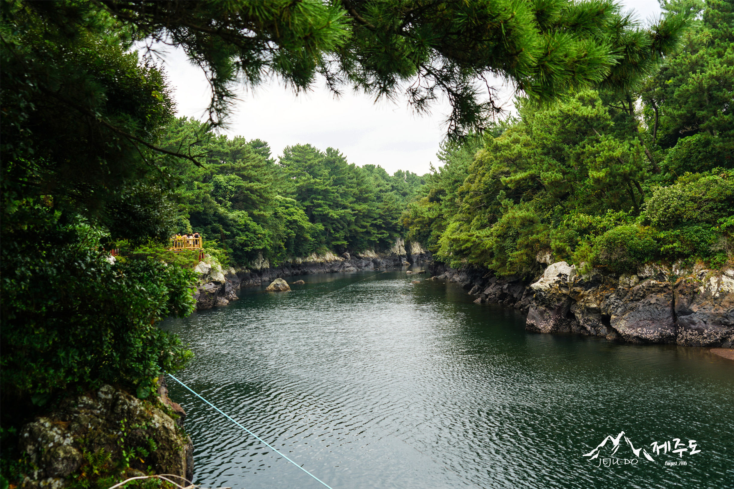 济州岛雨天旅行攻略视频,冬季济州岛亲子游详细攻略