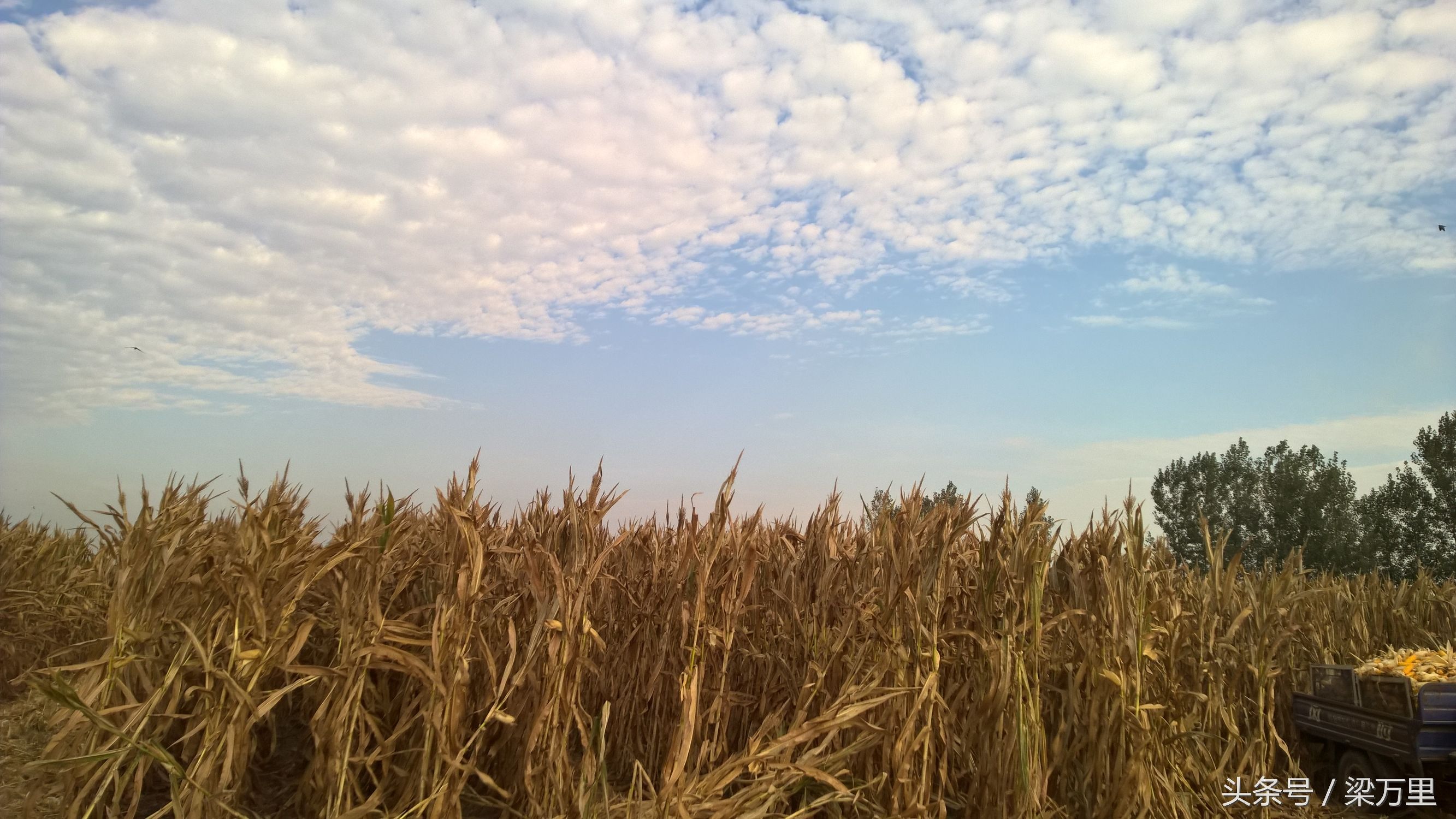 诺基亚lumia930测评,诺基亚lumia1020和930拍照对比