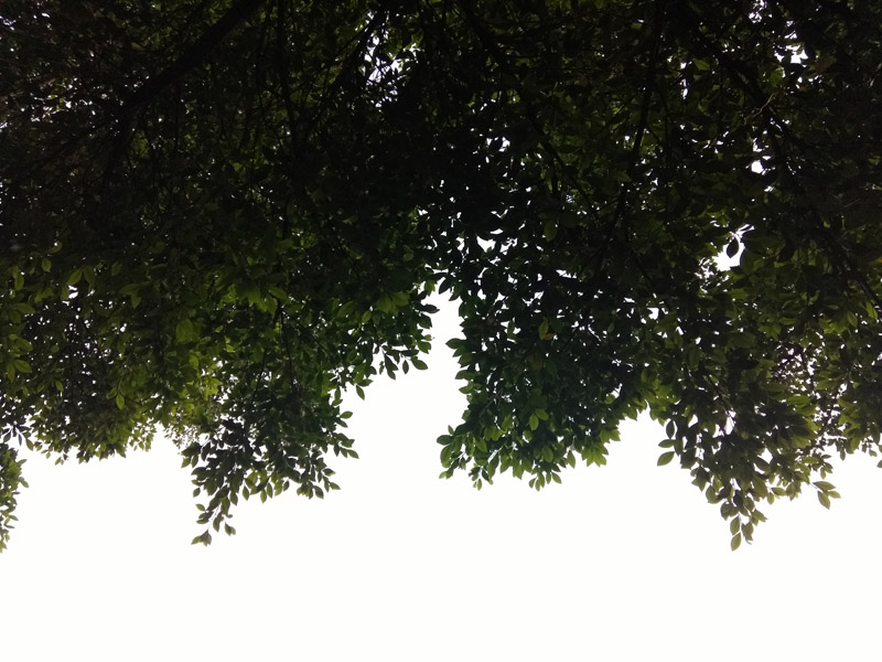 千元机有屏幕指纹解锁的,千元机指纹解锁手机