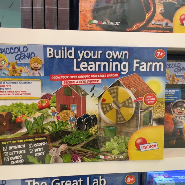 家记忆|迪拜MALL在孩子眼里的豪华：一望无际的玩具世界啊