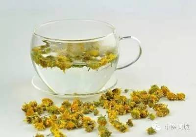 菊花清凉植物茶饮料,中药野生山菊花