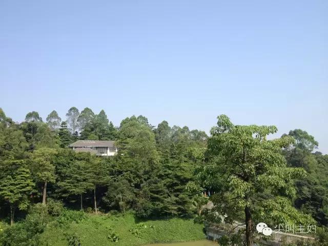 广州最好的温泉度假酒店,广州适合的休闲度假酒店