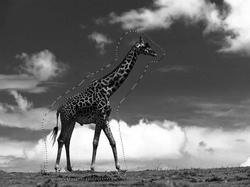 新手如何学ps修图片,5分钟学会的ps技巧