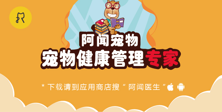 国庆带狗狗适合去哪玩,国庆狗狗出去浪