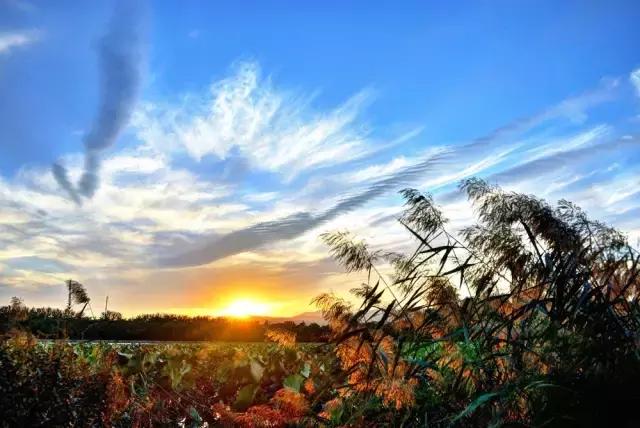 乡村纪实：上吊自杀的英姐