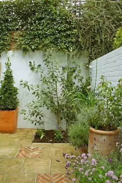 15个高颜值花园庭院设计,冬日无阳光的后花园庭院设计