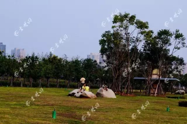 十堰新增公园,十堰国家森林公园图片