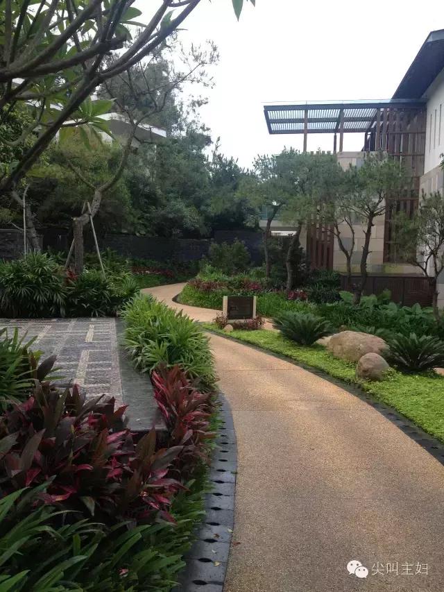 广州最好的温泉度假酒店,广州适合的休闲度假酒店