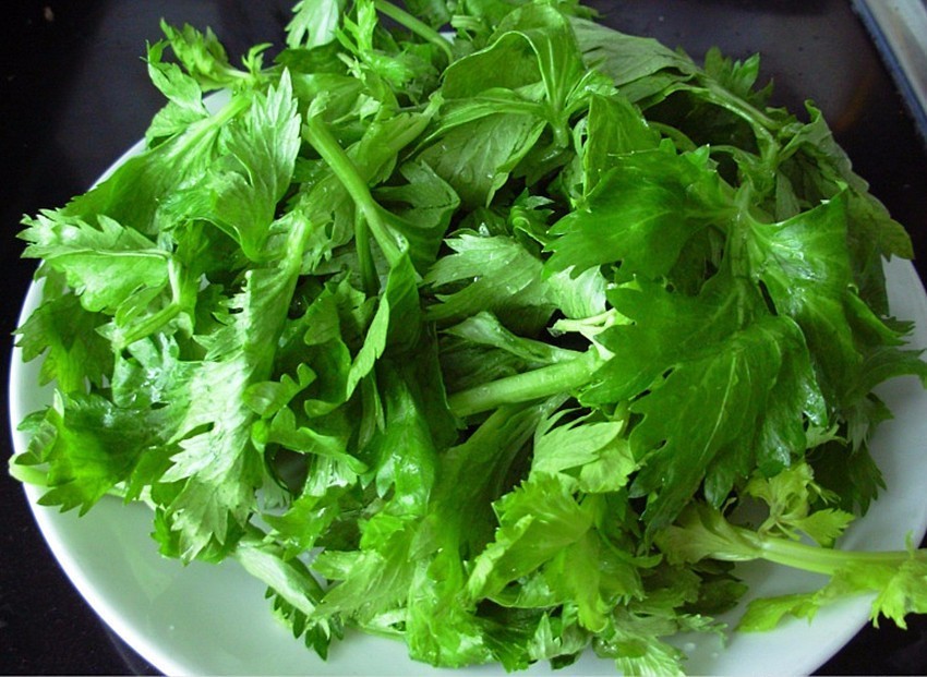 石狗公鱼特征,石狗公鱼多大