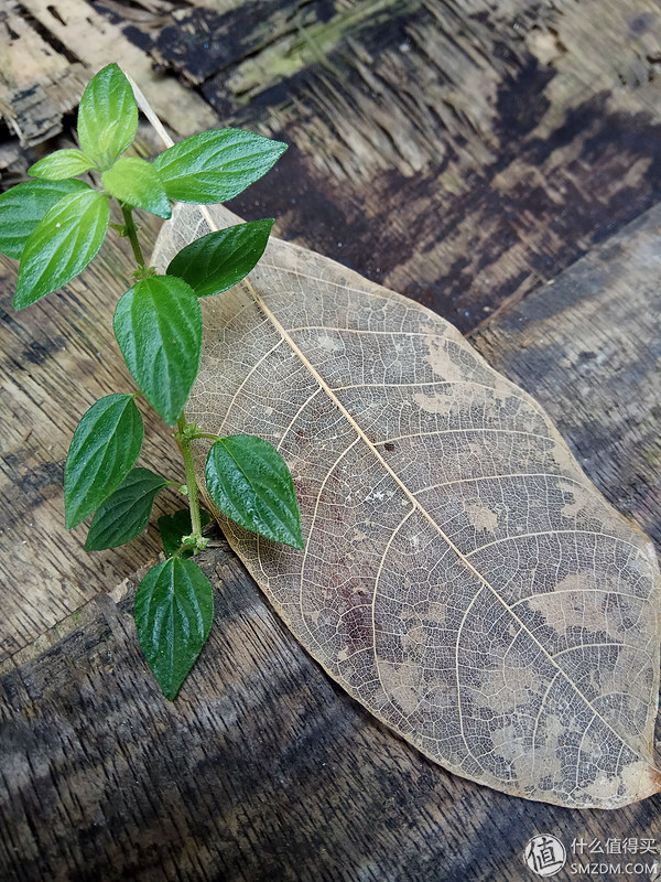 吐槽红米手表watch4,吐槽红米4手表表盘