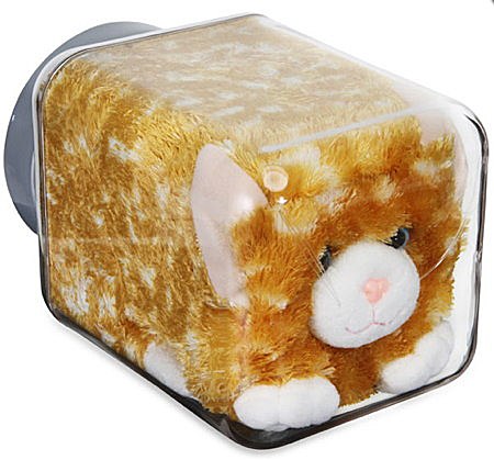 “盆景猫”这种虐猫网站为什么关不掉？！