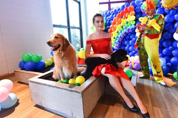 国庆带狗狗适合去哪玩,国庆狗狗出去浪