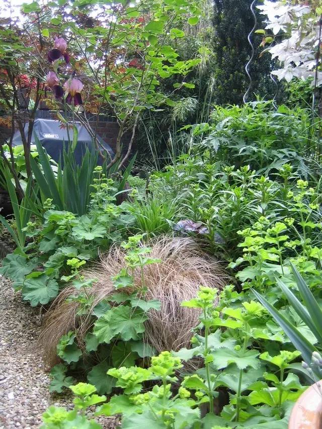 15个高颜值花园庭院设计,冬日无阳光的后花园庭院设计