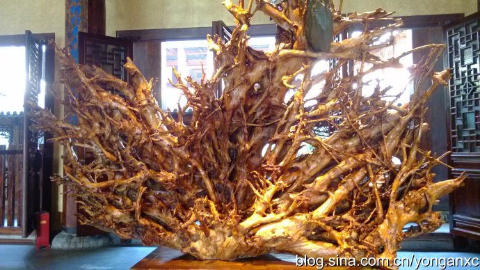 开化根宫佛国免费游玩,衢州开化佛国视频