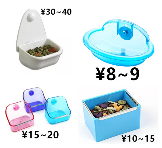 养一只荷兰猪需要花多少钱,养两只荷兰猪一个月需要多少钱