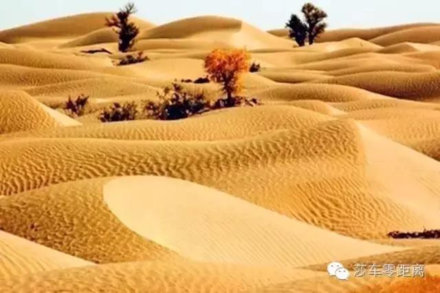 莎车古城老街简介,莎车老城墙遗址值得看吗