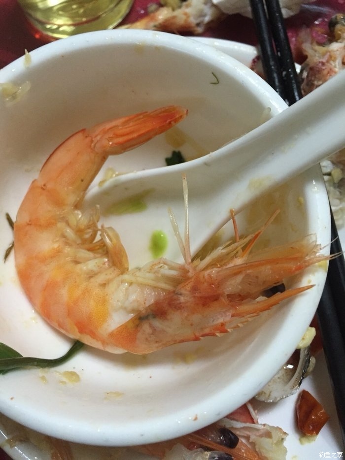 千岛湖钓翘嘴路亚,千岛湖路亚翘嘴选竿