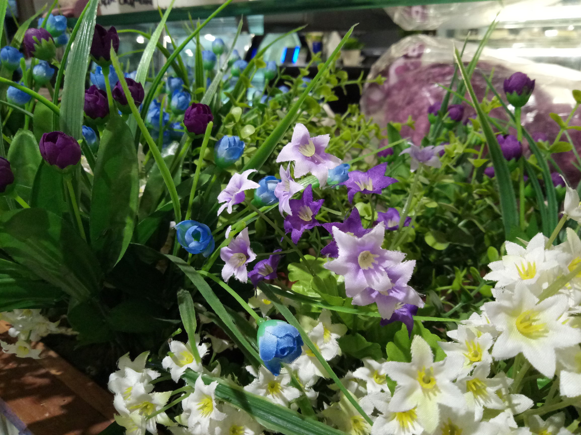 低调不代表没有光芒,低调不代表没有光环