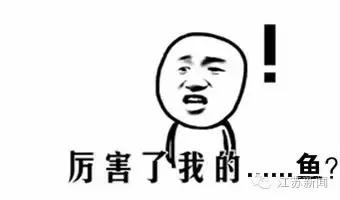 真相如此残酷！通过这种小动物按摩治脚气？小心患上皮肤病！