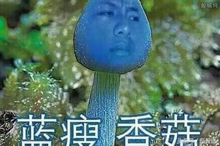 蓝瘦香菇广西版,蓝瘦香菇广西南宁话