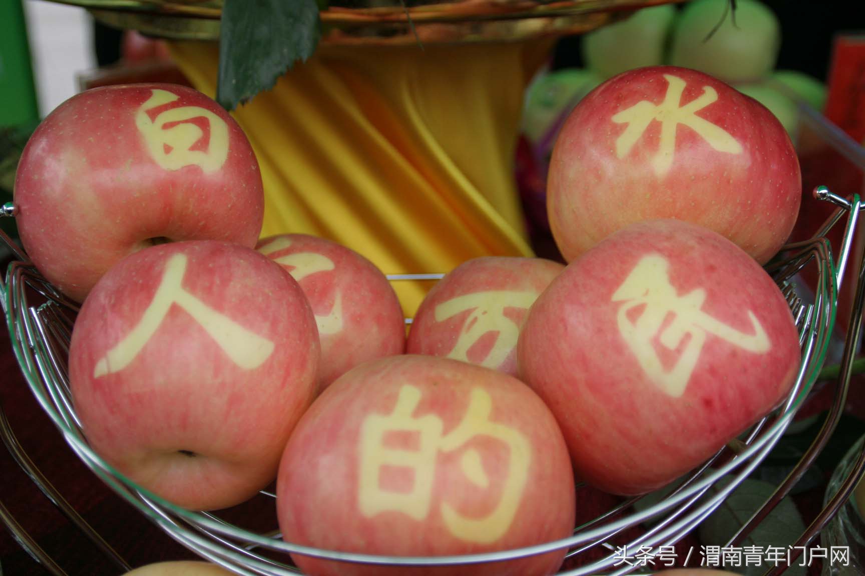 聚力2024展望未来,聚力2023