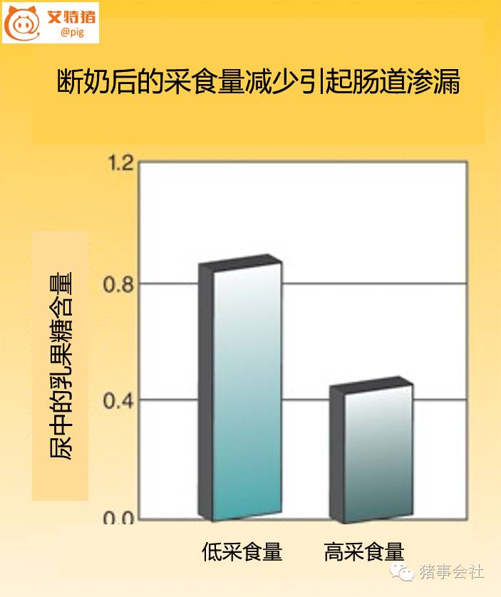 肠道渗漏是什么原因引起的,肠道渗漏怎么检查