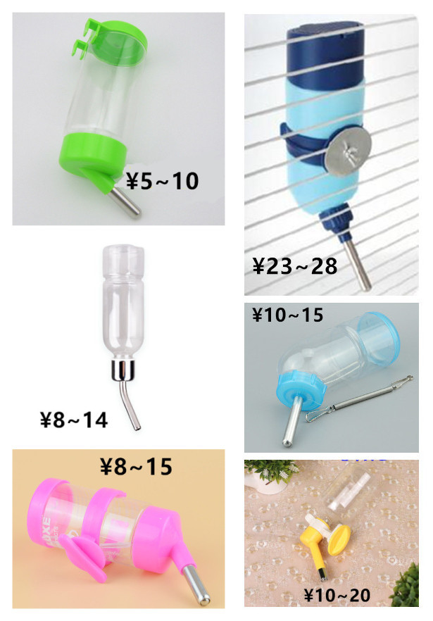 养一只荷兰猪需要花多少钱,养两只荷兰猪一个月需要多少钱