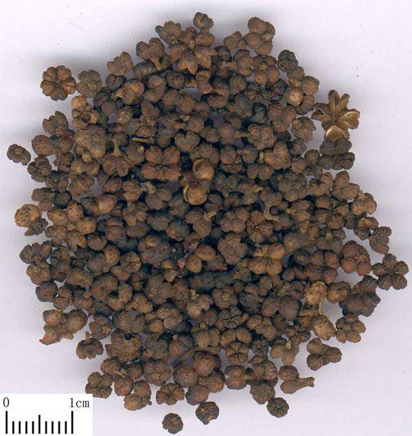 颈椎病，偏方大公开，转给身边需要的朋友吧！（收藏版上篇）