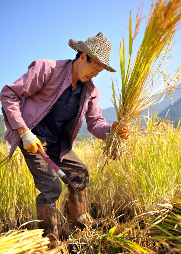 河南女娲伏羲,女娲和伏羲的遗址