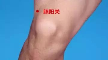 膝阳关痛怎么解决,膝阳关穴治膝盖疼