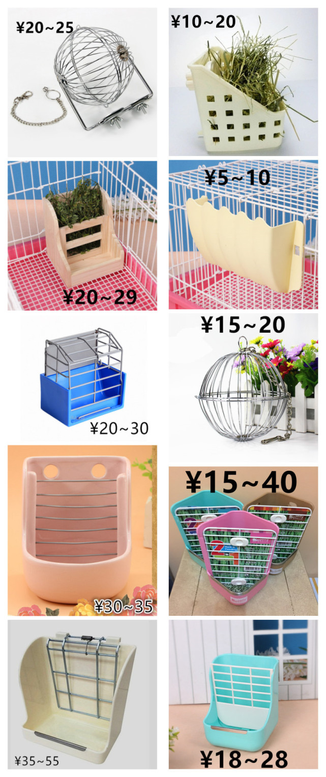 养一只荷兰猪需要花多少钱,养两只荷兰猪一个月需要多少钱