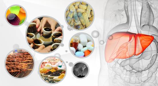 化学性肝损伤什么意思,怎么知道自己有没有化学性肝损伤