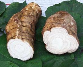 颈椎病，偏方大公开，转给身边需要的朋友吧！（收藏版上篇）