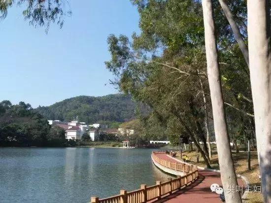 广州最好的温泉度假酒店,广州适合的休闲度假酒店