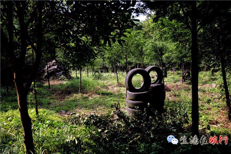 乐清杨八洞风景区,天下第九洞天一日游