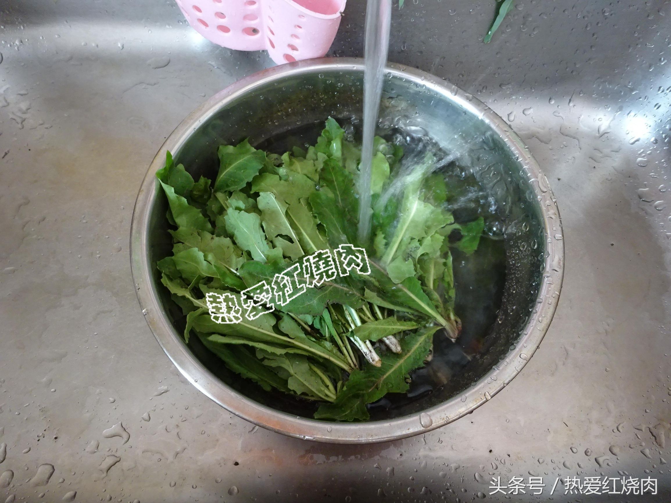 秋天吃这菜刮油又排毒,秋天吃什么野菜润燥降火