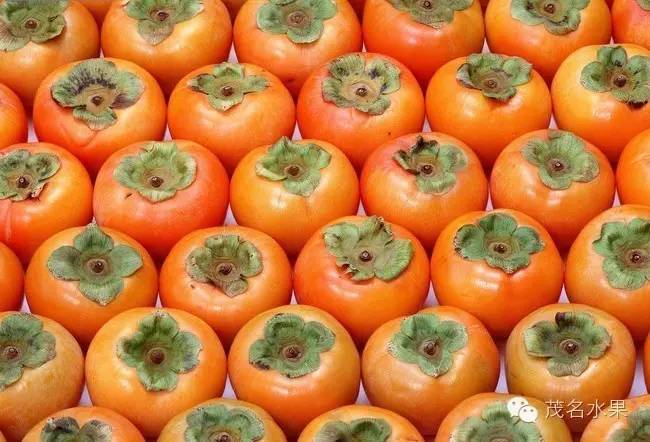 秋天如约而至,秋天如期到来