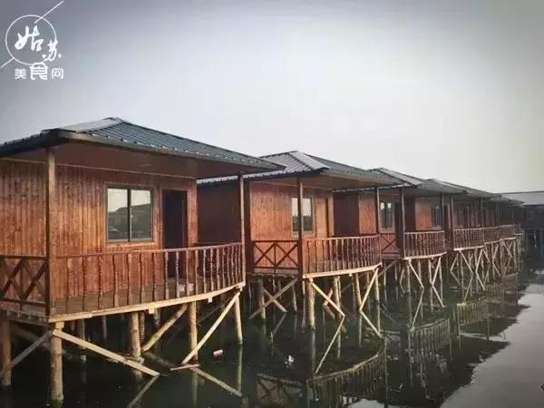 秋天就该送自己一场旅行，苏州最全“采橘攻略”先给你！