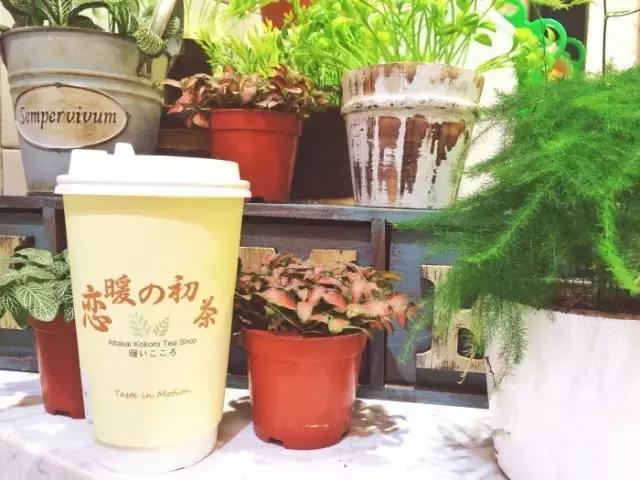 长沙最好喝的奶茶店,公认最好喝的十款奶茶店排名