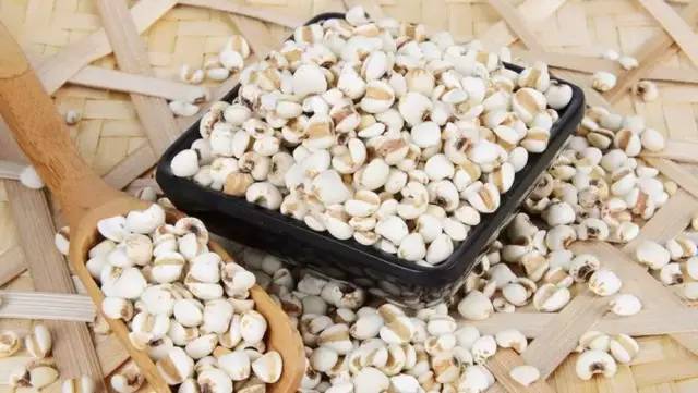 如此强大的薏米，之前是我无知了