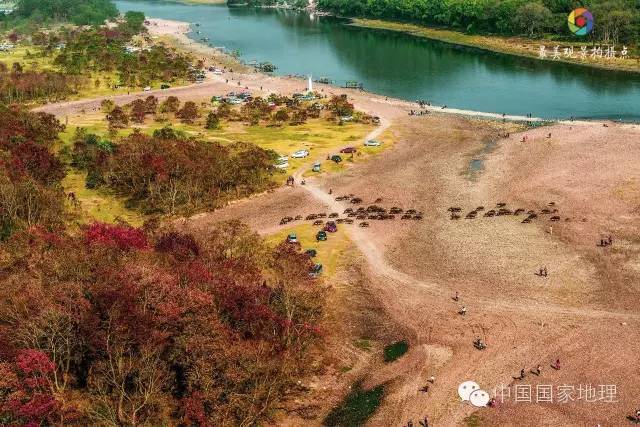 寻找一抹秋色,寻找不一样的质感