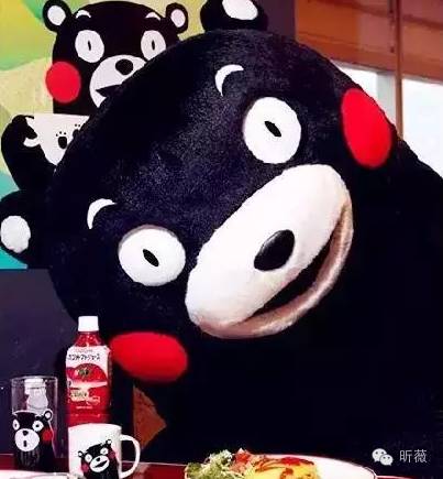 熊本熊发展历程,为什么是熊本熊