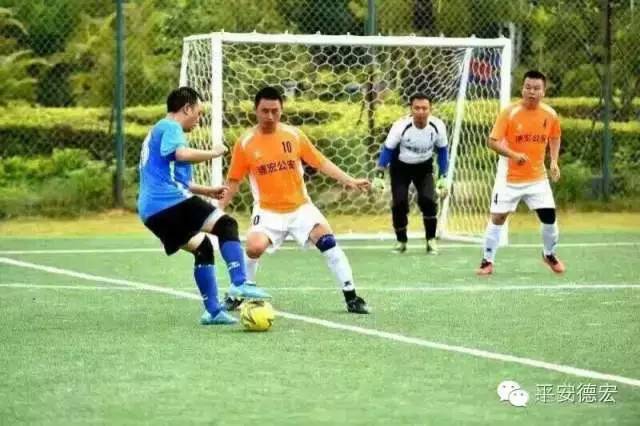 赛场竞技彰显青春活力,竞技场上的意气风发