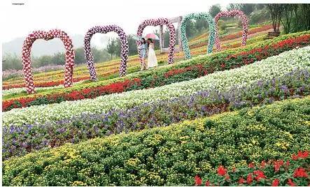 2020年重庆国庆期间景区排名 (重庆国庆期间景区推荐)